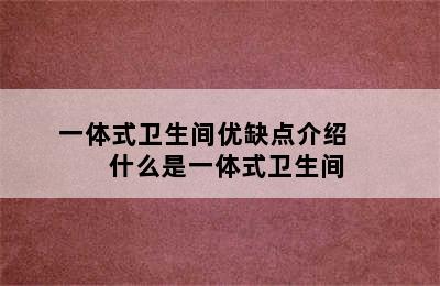 一体式卫生间优缺点介绍       什么是一体式卫生间